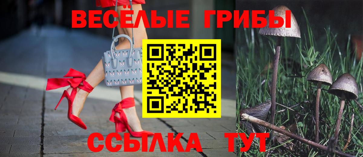 Галлюциногенные грибы мухоморы Калач-на-Дону